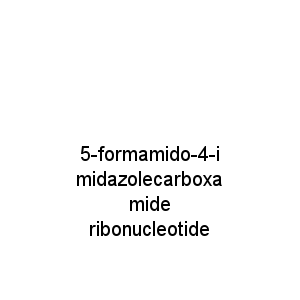 5-formamido-4-imidazolecarboxamide ribonucleotide